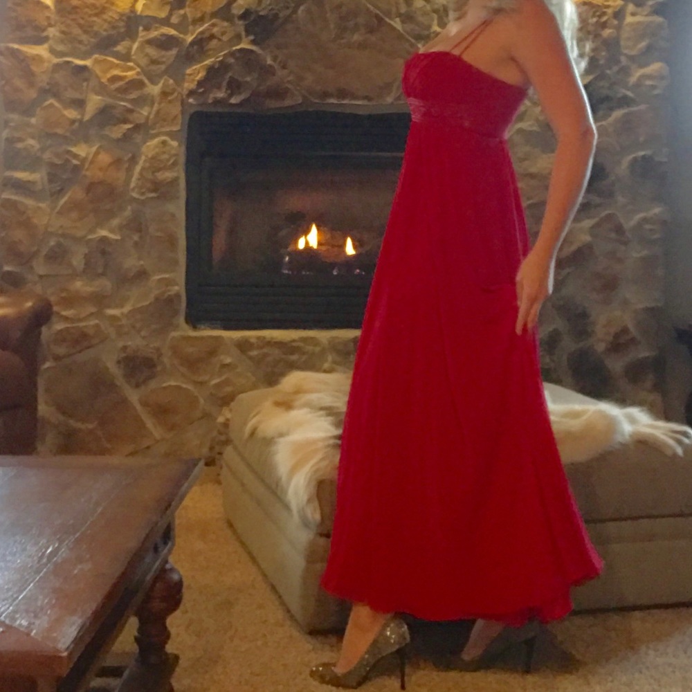 David’s Bridal Sequined dress